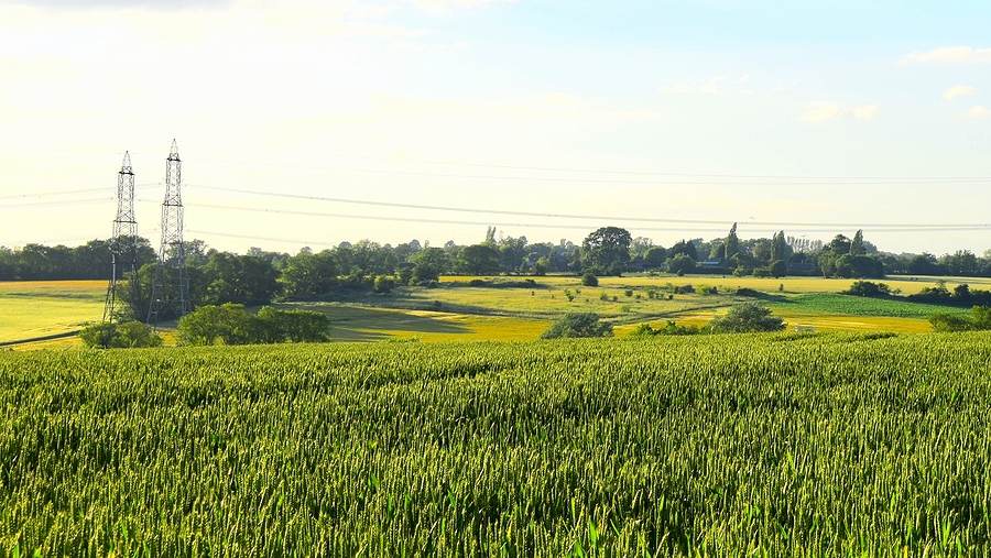 Suffolk Countryside