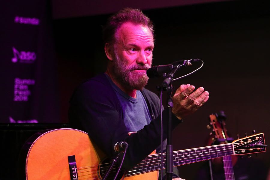 Sting the musician